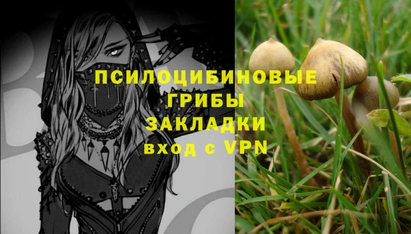 MDMA Premium VHQ Бугульма