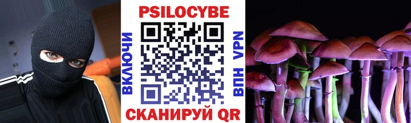 Галлюциногенные грибы Psilocybine cubensis Купить Наволоки